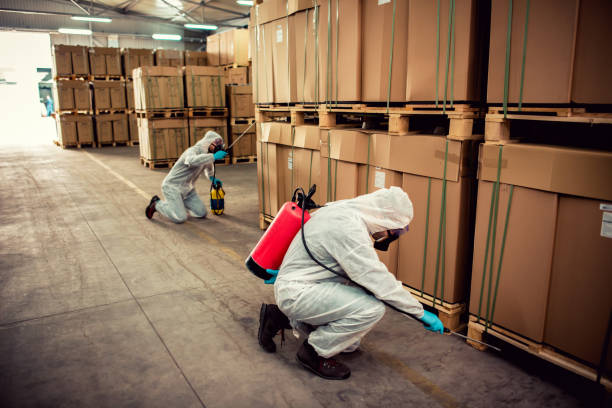 Best Affordable Pest Control Services  in Doraville, GA