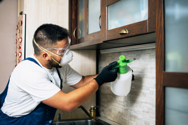 Best Affordable Pest Control Services  in Doraville, GA