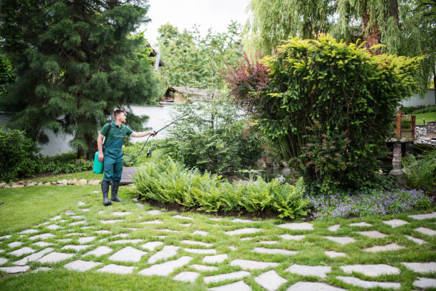 Best Best Pest Control Companies  in Doraville, GA