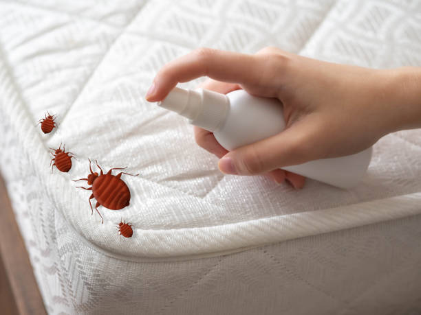 Best Cockroach Control Services  in Doraville, GA