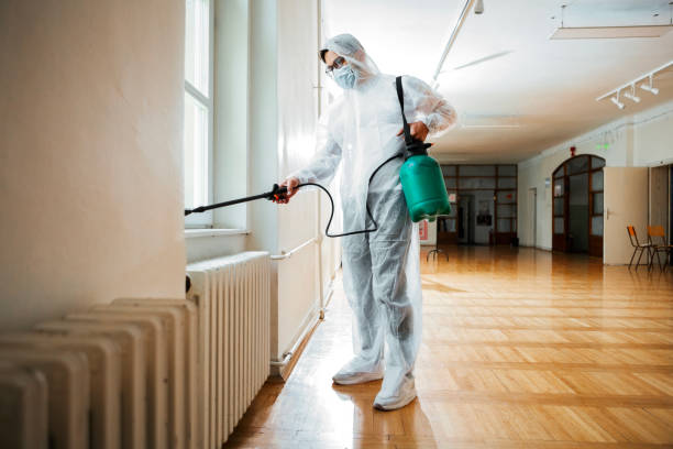 Pest Prevention Services in Doraville, GA