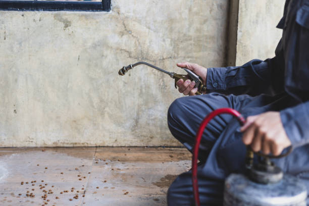 Best Wasp Removal Services  in Doraville, GA